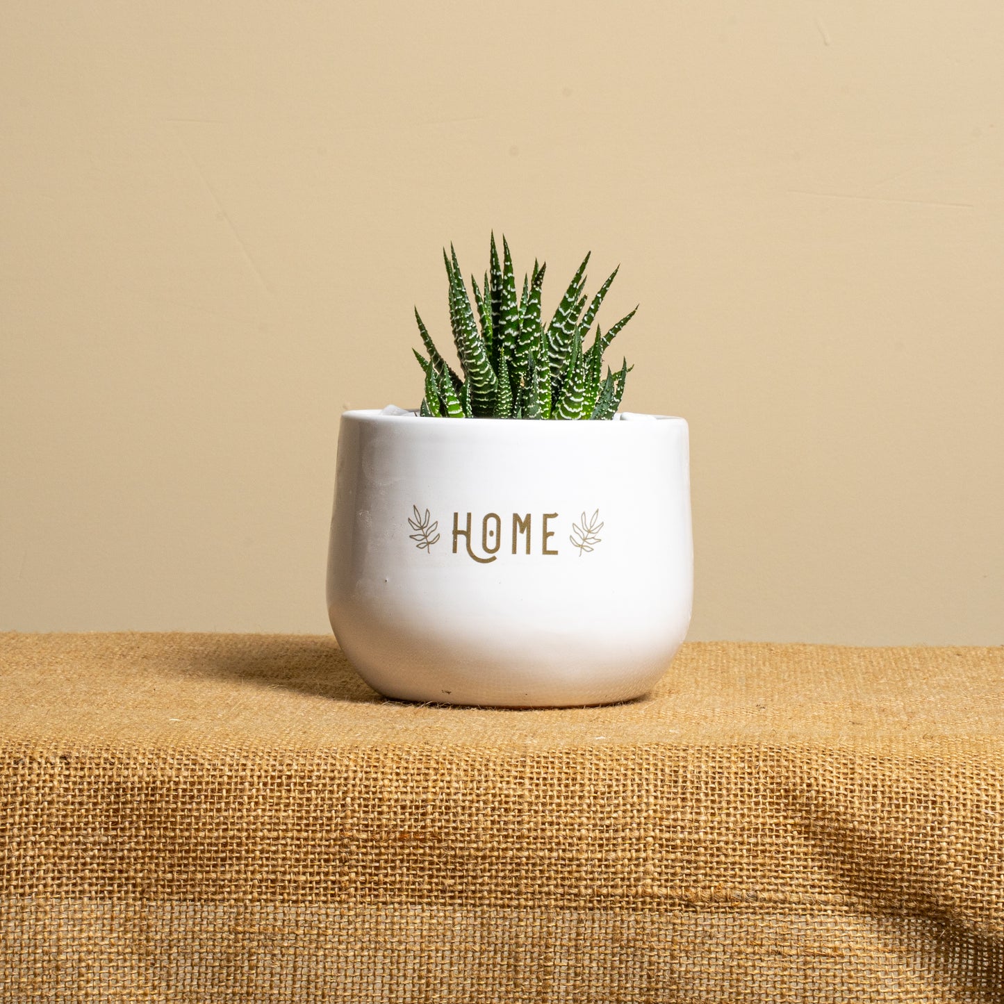 Home
