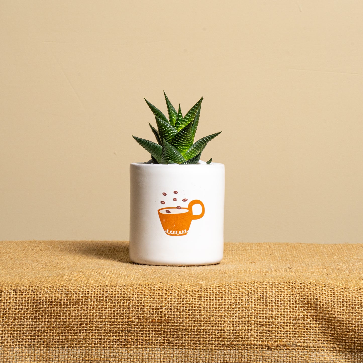 Caffè