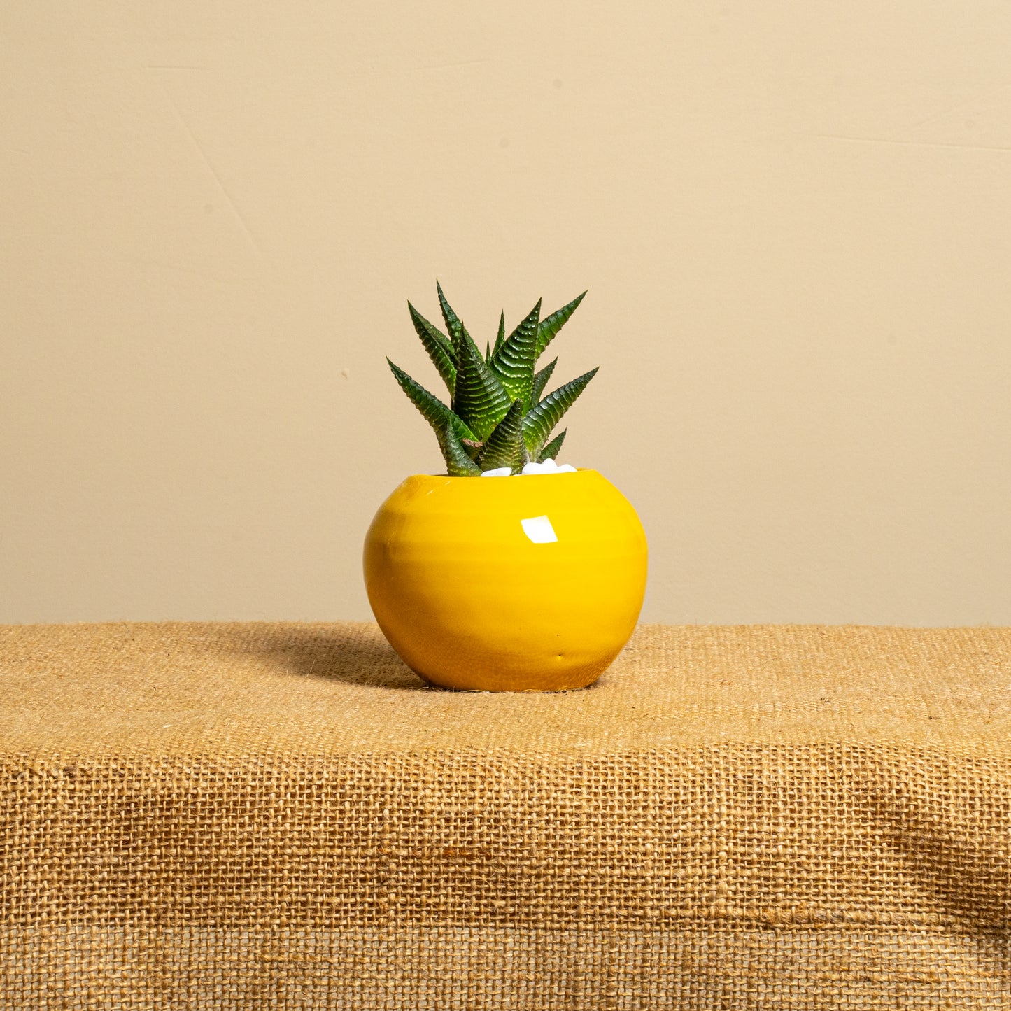 Mini vaso 2