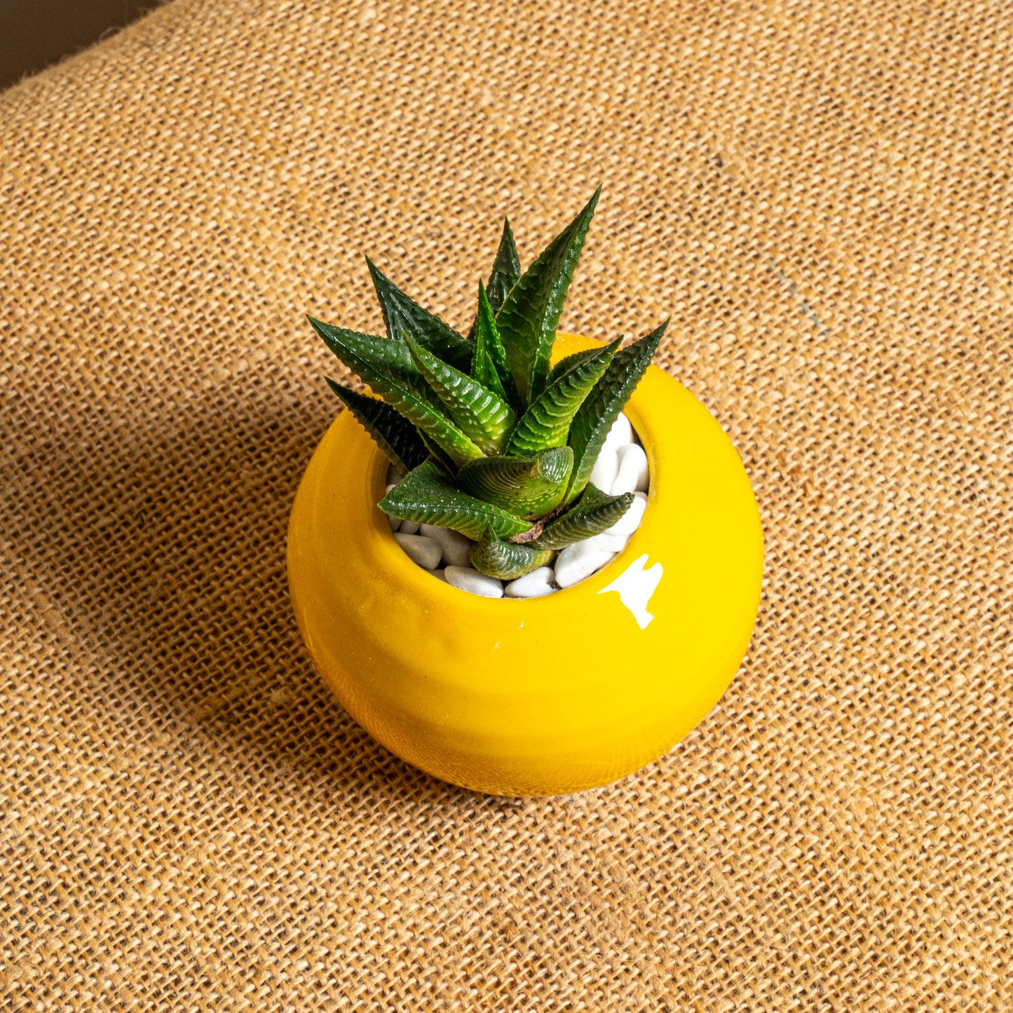 Mini vaso 2