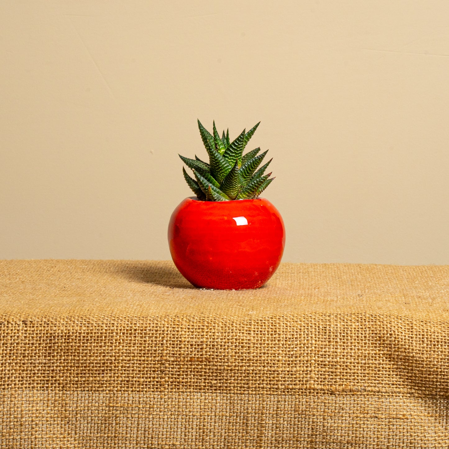 Mini vaso 3