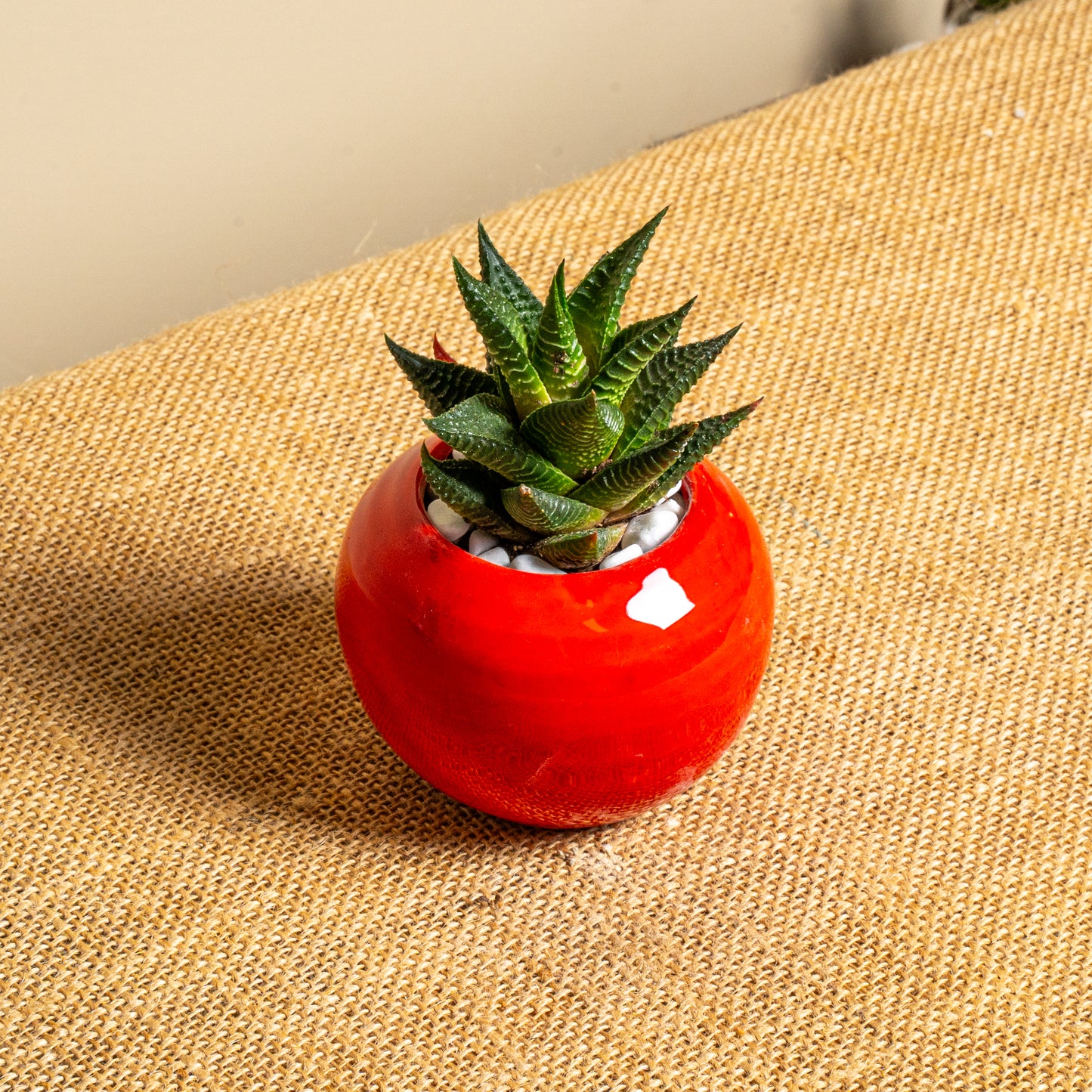 Mini vaso 3
