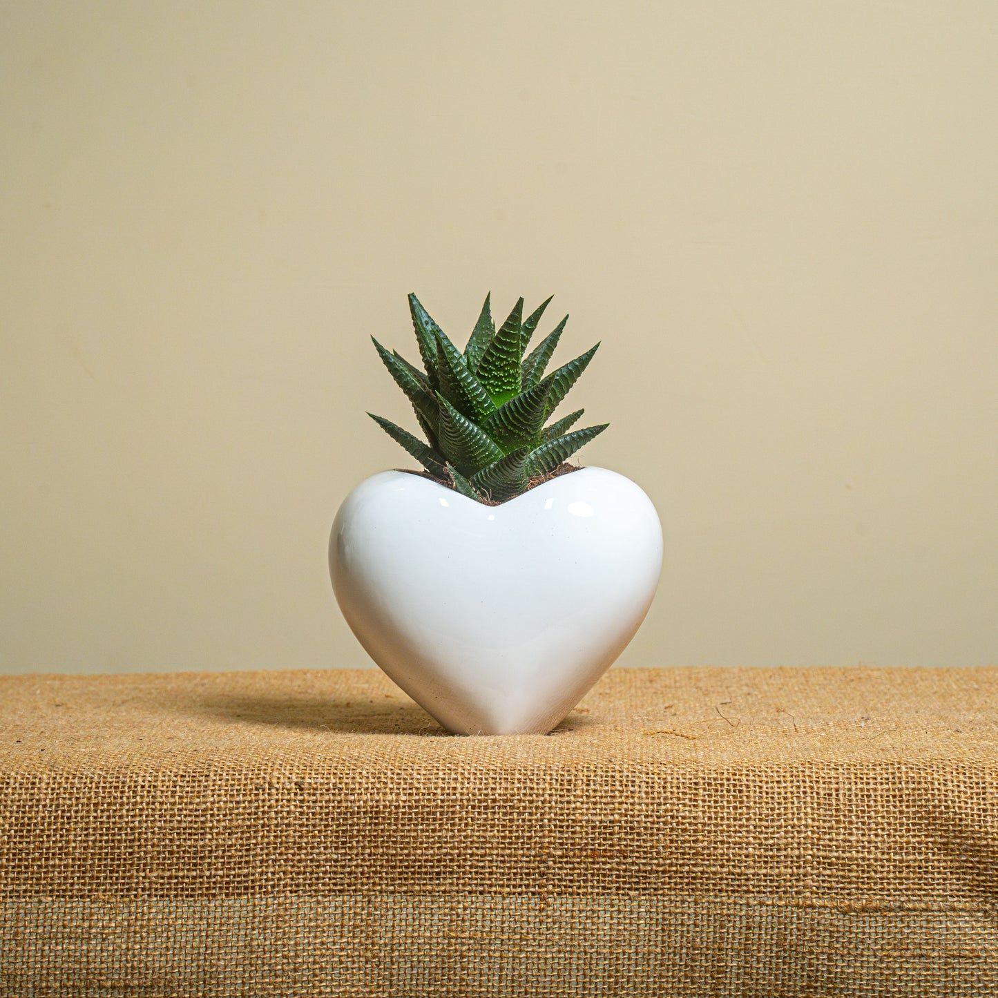 Cuore