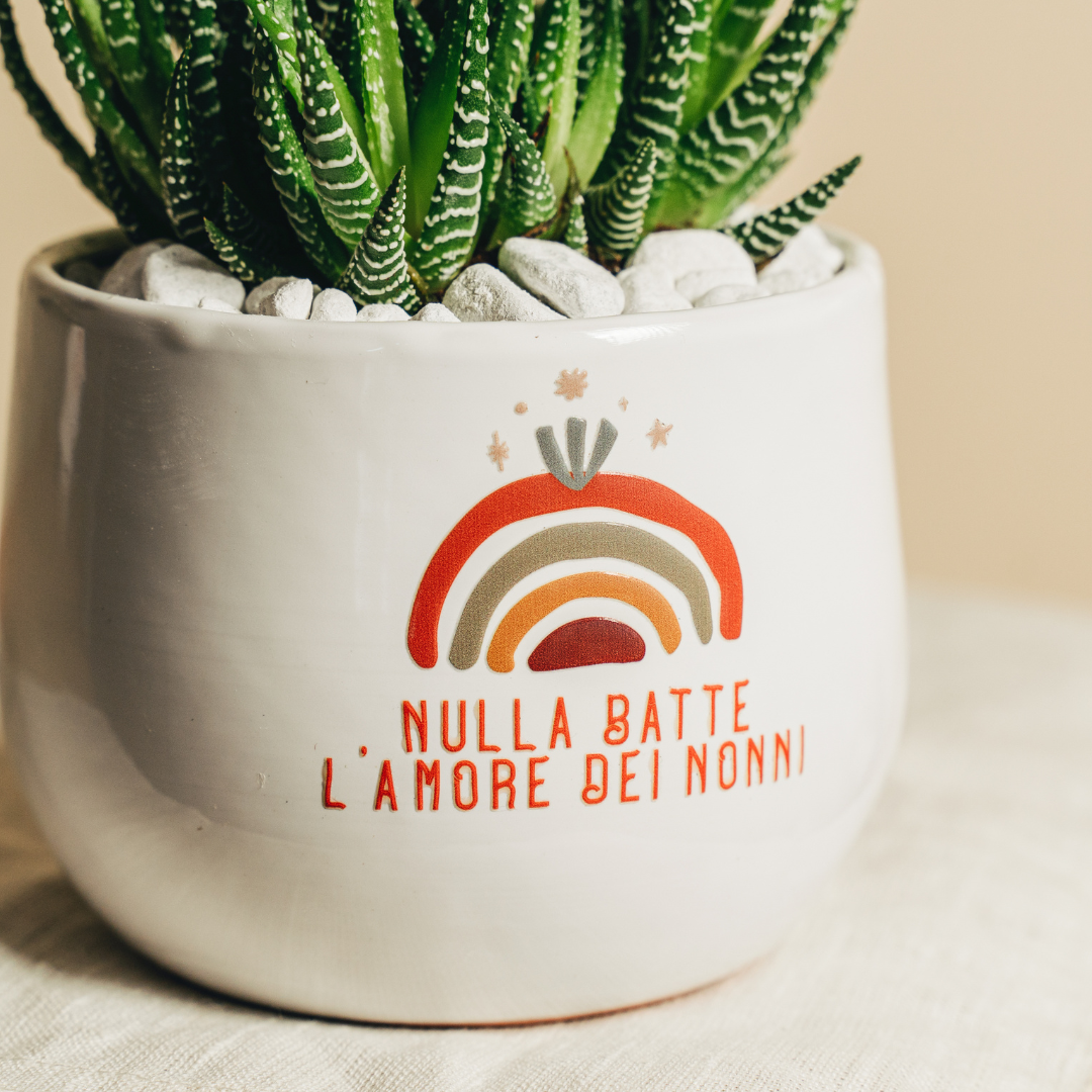 Nulla batte l'amore dei nonni