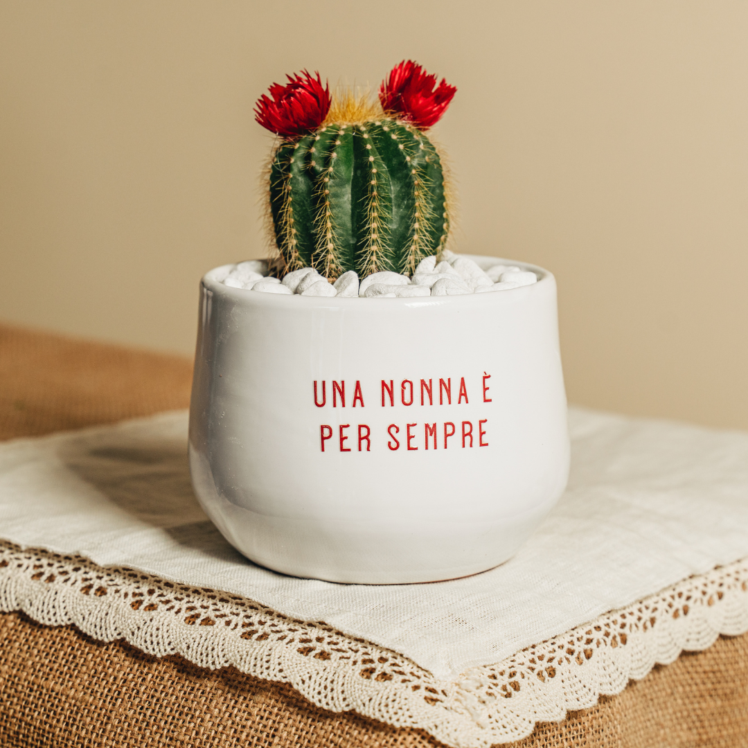 Una nonna è per sempre