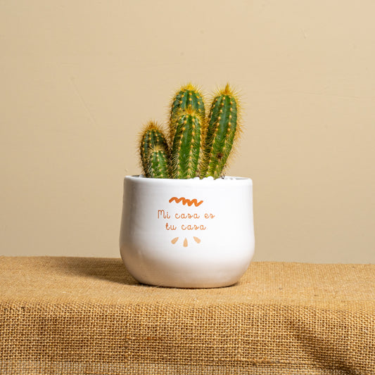 Mi casa es tu casa