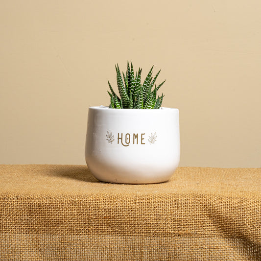 Home