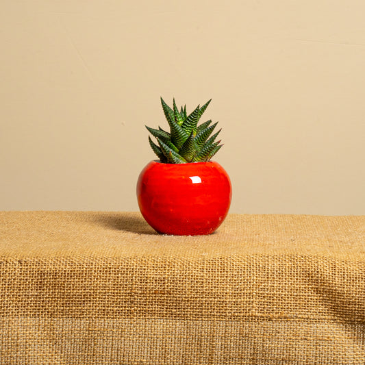 Mini vaso 3