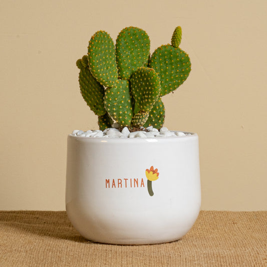 Martina