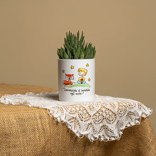 Piccolo principe Medio