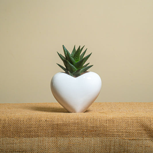 Cuore