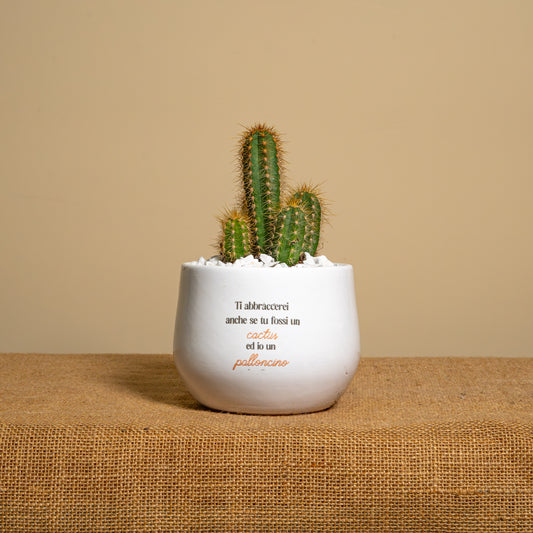 Cactus e palloncino